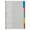 Leitz Blanko Register DIN A4 Überbreite Grau Farbig Sortiert 5-teilig Pappkarton 11 Löcher 4320