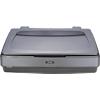 Epson Scanner B11B208301 Grau