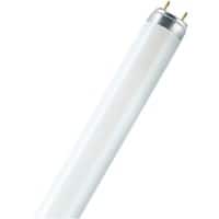 Osram T8 Leuchtstofflampe Matt G13 58 W Kaltweiß 25 Stück