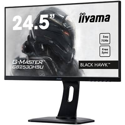 iiyama TFT Monitor G-Master GB2530HSU 62,2 cm (24,5") Schwarz