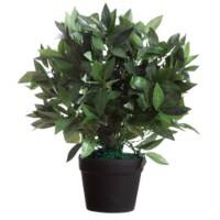 meet powered by PAPERFLOW Lorbeer Künstliche Pflanze Holz, PES (Polyester) 50 cm Grün