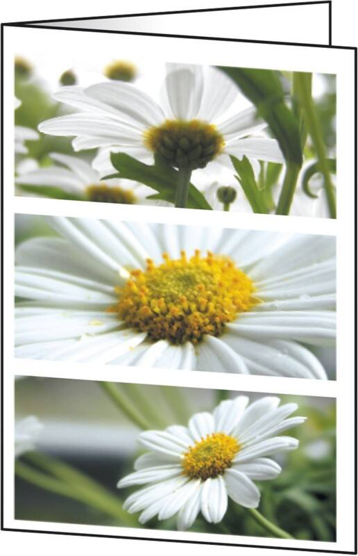 Sigel Grußkarten Blumen DIN A6 220 g/m² Sortiert 25 Stück