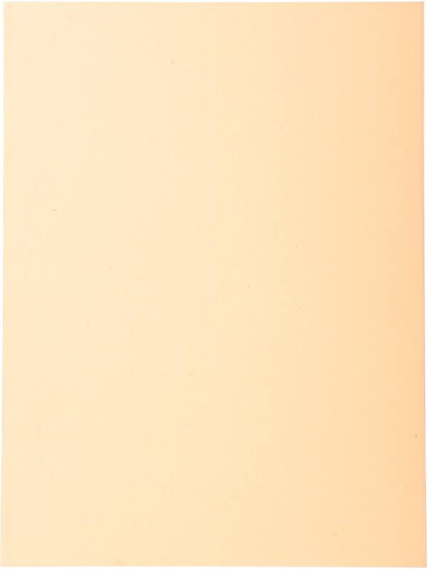 Exacompta Forever Aktendeckel DIN A4 Creme Manila Recycelt 100% 220 g/m² 500 Stück