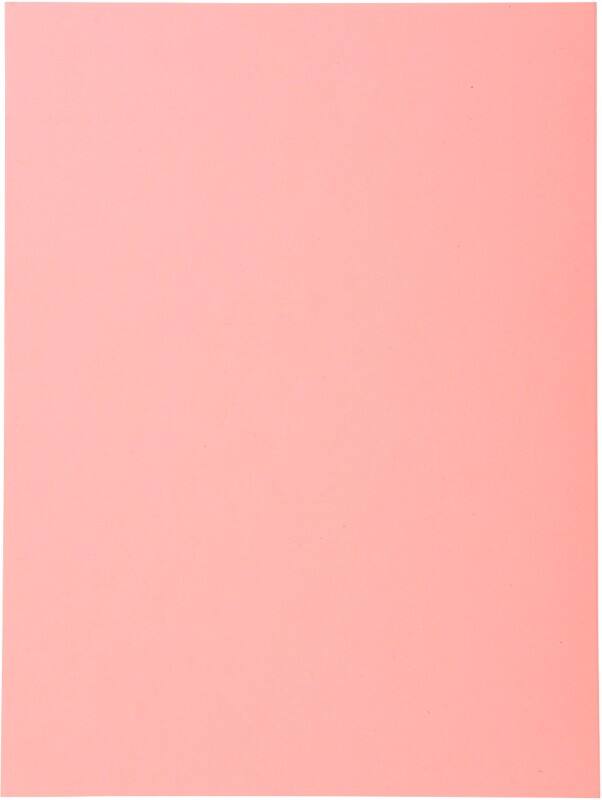 Exacompta Forever Aktendeckel DIN A4 Rosa Manila Recycelt 100% 220 g/m² 500 Stück