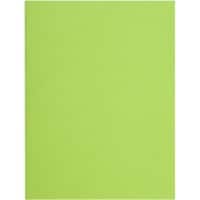 Exacompta Flash Aktendeckel DIN A4 Grün Manila Recycelt 100% 220 g/m² 500 Stück