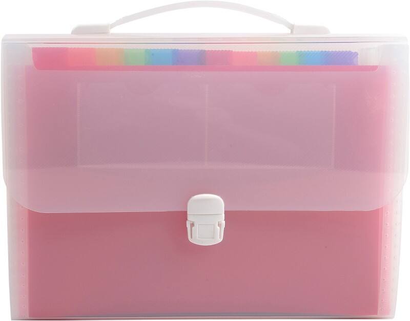 Exacompta Ordnungsmappe 55698E DIN A4 Transparent Vinylbeschichtetes Papier 33 x 29 cm 4 Stück