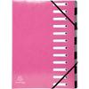 Exacompta Ordnungsmappe 53928E DIN A4 Pink Vinylbeschichtetes Papier 24,5 x 32 cm 6 Stück