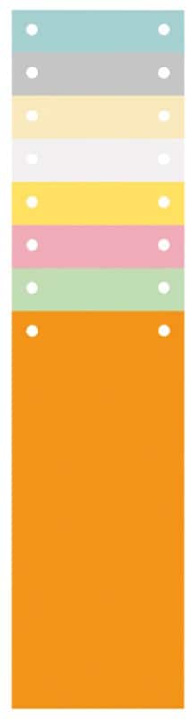 Exacompta Blanko Register Spezial Farbig Sortiert Farbig Sortiert 100-teilig Pappkarton 2 Löcher 13395B 1200 Stück