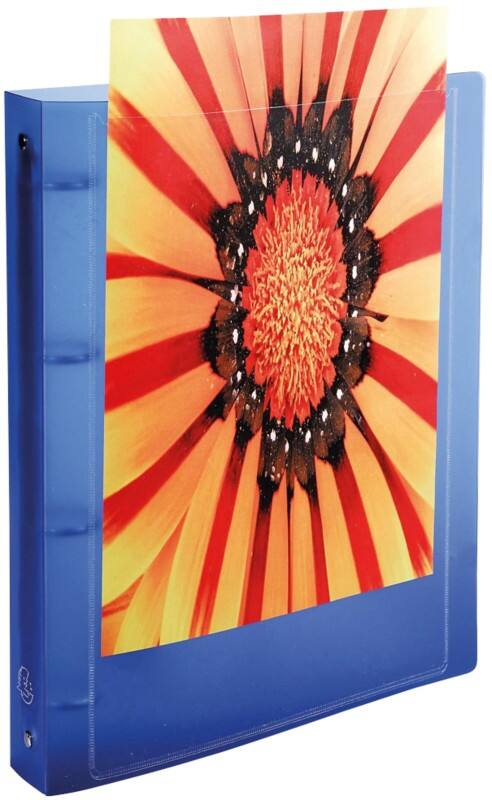 Exacompta Kreacover 15 mm Ringbuch PP (Polypropylen) DIN A4 4 Ringe Farbig sortiert 51989E 20 Stück