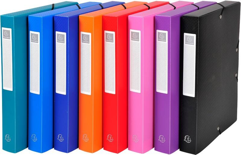Exacompta OpaK Archivbox 5970E DIN A4 PP (Polypropylen) 25 (B) x 33 (H) cm Farbig sortiert 4,0 cm 8 Stück