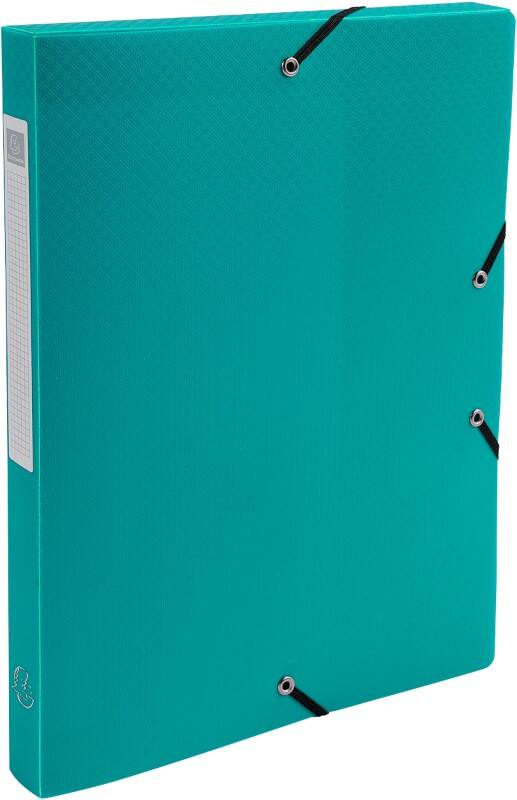 Exacompta OpaK Archivbox 59683E DIN A4 PP (Polypropylen) 25 (B) x 33 (H) cm Grün 2,5 cm 8 Stück