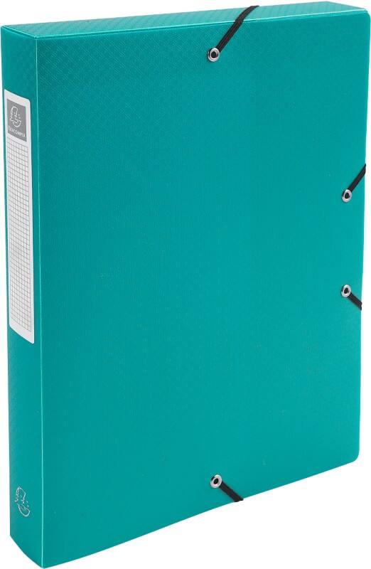 Exacompta OpaK Archivbox 59783E DIN A4 PP (Polypropylen) 25 (B) x 33 (H) cm Grün 4,0 cm 8 Stück
