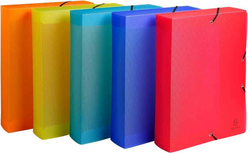 Exacompta Linicolour Archivbox 5987E DIN A4 PP (Polypropylen) 25 (B) x 33 (H) cm Farbig sortiert 6,0 cm 8 Stück