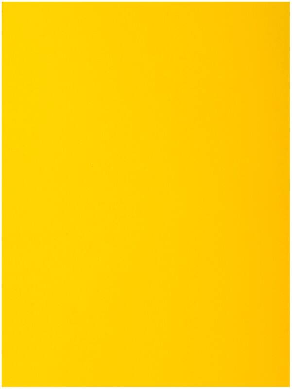 Exacompta Aktenmappe 218011E DIN A4 Gelb Karton 24 x 32 cm 250 Stück