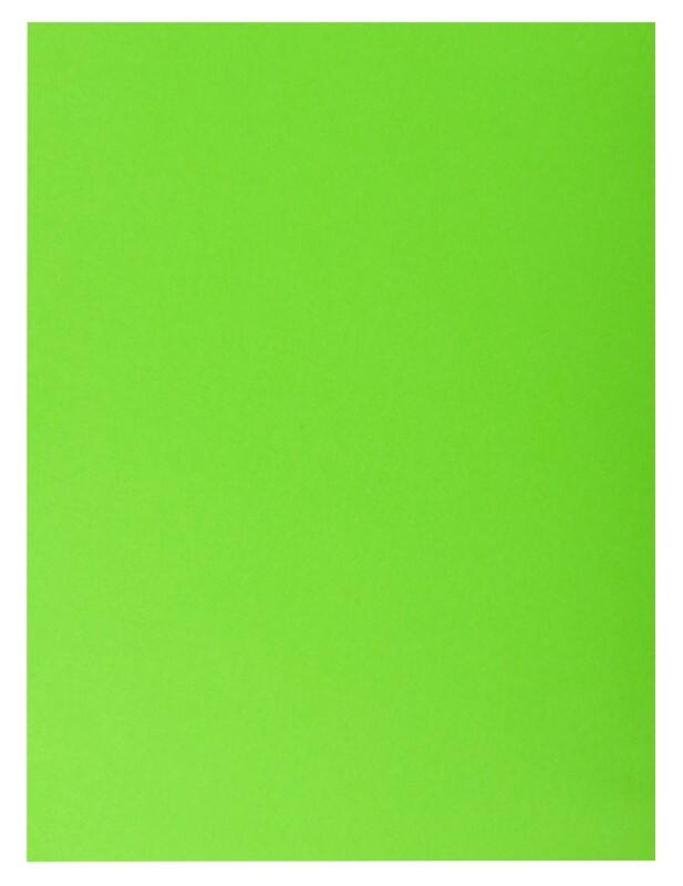 Exacompta Rock''s Aktendeckel Grün Pappe 210 g/m² 250 Stück