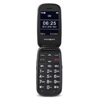 Swisstone BBM 625 0,3 Megapixel 6,1 cm (2,4 Zoll) MiniSIM Mobiltelefon Mobiltelefon Silber