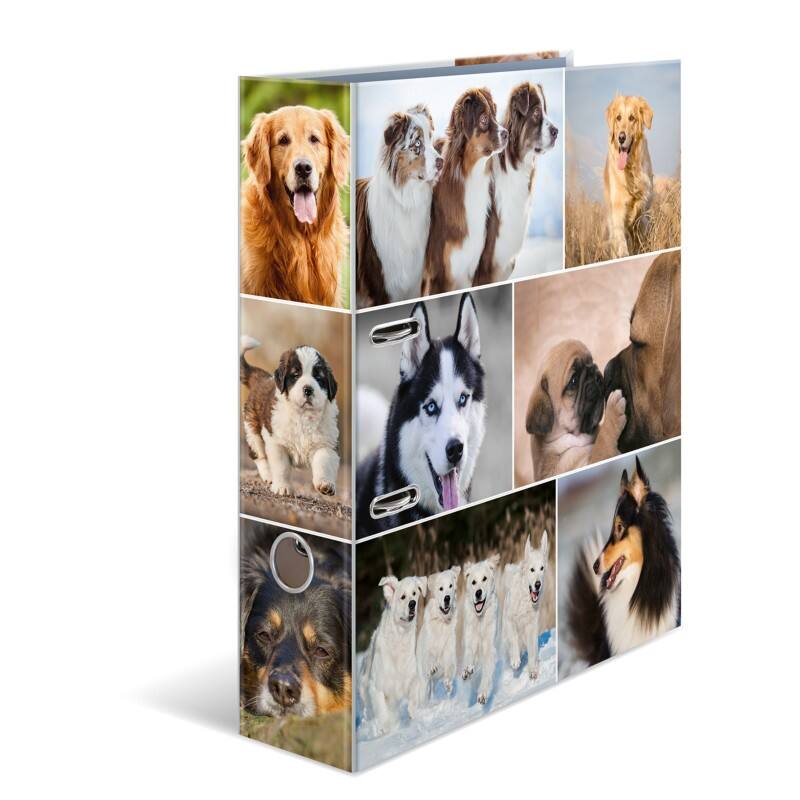 HERMA Motif Breit Ordner DIN A4 70 mm Farbig sortiert 2 Ringe 7165 Pappkarton Glatt Hochformat  10 Stück