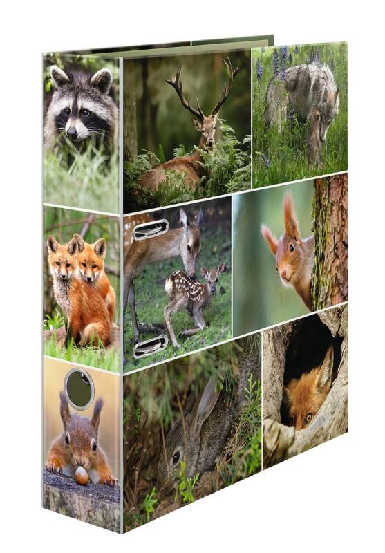 HERMA Motif Breit Ordner DIN A4 70 mm Farbig sortiert 2 Ringe 7202 Pappkarton Glatt Hochformat  10 Stück