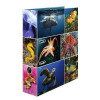 HERMA Animals Sea Creatures Ordner DIN A4 70 mm Farbig sortiert 2 Ringe 7203 Pappkarton Glatt Hochformat 10 Stück