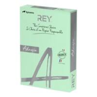 Rey Getöntes Papier DIN A4 Farbiges Papier Grün 120 g/m² 250 Blatt