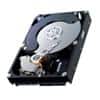 HP Enterprise Interne Festplatte 713971-001 500 GB