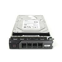 DELL Interne Festplatte WDC07 2000 GB