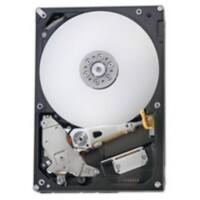 Fujitsu Interne Festplatte S26462-F3500-L102 1000 GB