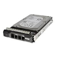 DELL Interne Festplatte U738K 1000 GB