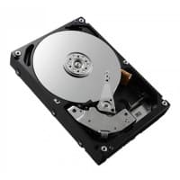 DELL Interne Festplatte W125720536 600 GB