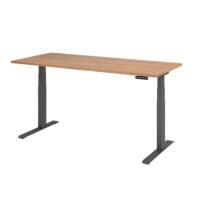 Hammerbacher VXDKB Elektrisch Höhenverstellbar Sitz-Stehschreibtisch Walnuss C-Fuß 1.800 (B) x 800 (T) x 1.290 (H) mm Spanplatte, Stahl