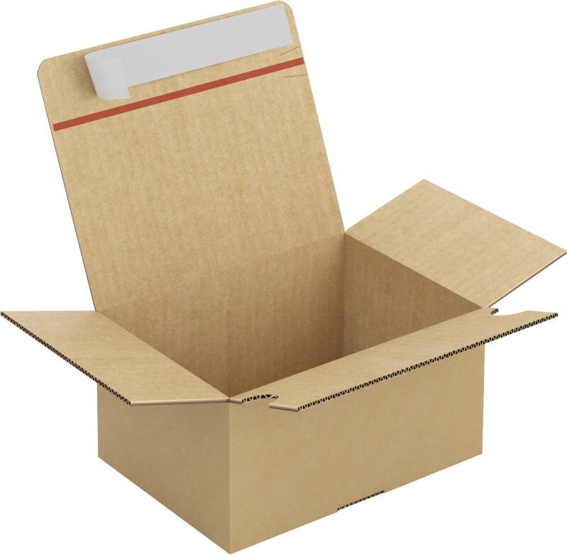 RAJA Versandkarton 1-wellig Pappe 155 (B) x 110 (T) x 210 (H) mm Braun 20 Stück