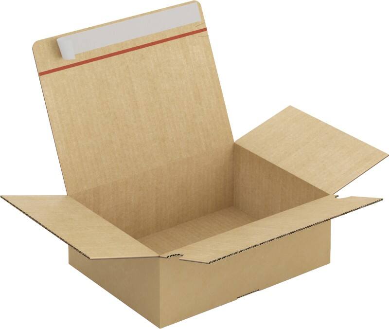 RAJA Versandkarton 1-wellig Pappe 230 (B) x 110 (T) x 310 (H) mm Braun 20 Stück
