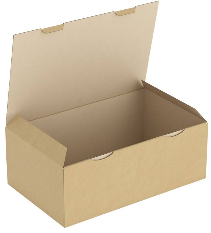 RAJA Versandkarton 1-wellig Pappe 250 (B) x 150 (T) x 400 (H) mm Braun 50 Stück