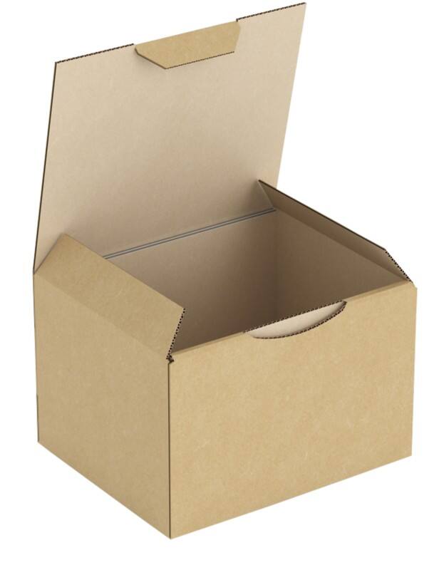 RAJA Versandkarton 1-wellig Pappe 100 (B) x 80 (T) x 120 (H) mm Braun 50 Stück