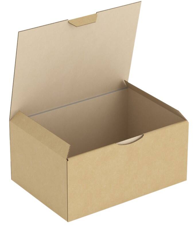 RAJA Versandkarton 1-wellig Pappe 155 (B) x 100 (T) x 215 (H) mm Braun 50 Stück