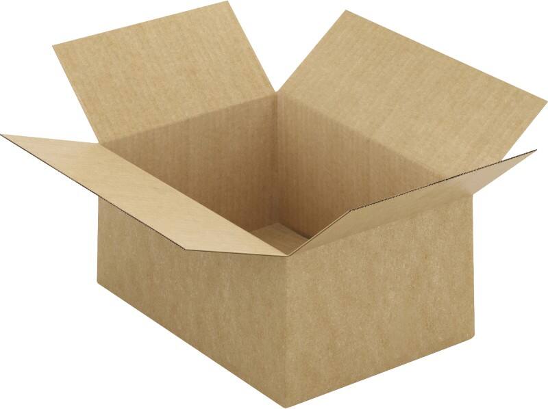 RAJA Versandkarton 1-wellig Pappe 220 (B) x 150 (T) x 310 (H) mm Braun 20 Stück