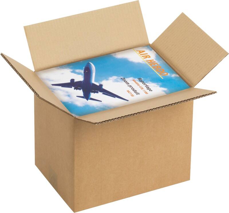 RAJA Versandkarton 2-wellig Pappe 310 (B) x 250 (T) x 430 (H) mm Braun 10 Stück