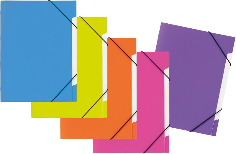 PAGNA Fächermappe DIN A4 Unbeschriftet Polypropylen 5 Fächer Mehrfarbig 24,5 (B) x 4 (T) x 32 (H) cm 5 Stück