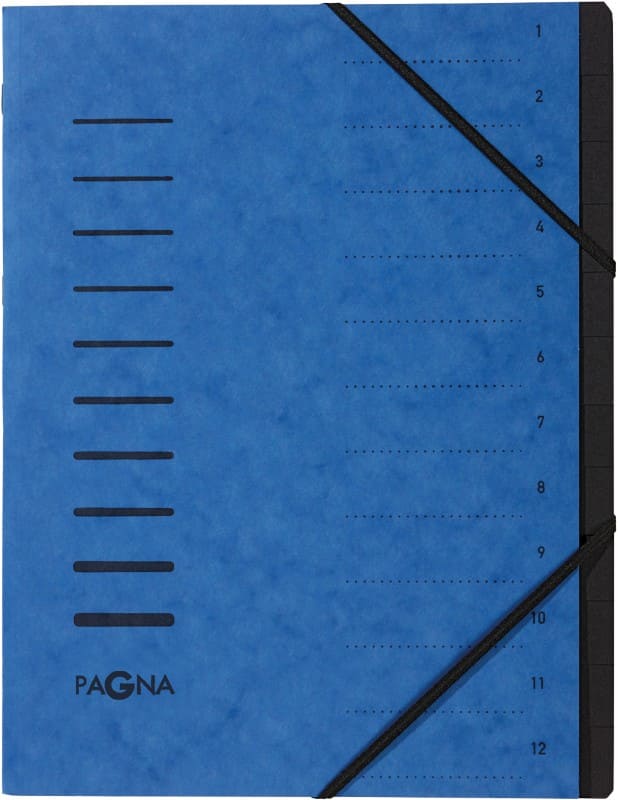 PAGNA Fächermappe DIN A4 Blanko Pappkarton 12 Fächer Blau 24,5 (B) x 0,5 (T) x 32 (H) cm