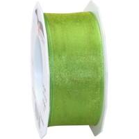 PRAESENT Organza 6074025-127 Grasgrün  40 mm x 25 m 2 Stück