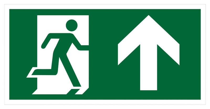 Seco Schild Ausgang oben Zum Ankleben Kunststoff 20 x 60 cm SP094SRP-600X200