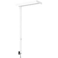 Maul Stehlampe Steckdose 82 und 81 Ra 4000 Kelvin (neutralweiß) je Lichtquelle Weiß