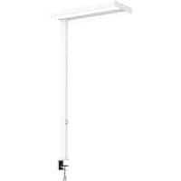 Maul Stehlampe Steckdose 82 und 81 Ra 20000 h je Lichtquelle Weiß