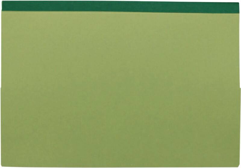 Exacompta Guildhall Dokumentenmappe DIN A4, foolscap Manila 315 g/m² 35,5 (B) x 0,6 (T) x 24,9 (H) cm Grün 25 Stück
