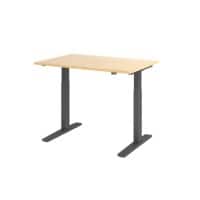 Hammerbacher VXMKA Elektrisch Höhenverstellbar Sitz-Stehschreibtisch Ahorn C-Fuß 1.200 (B) x 800 (T) x 1.200 (H) mm Spanplatte, Stahl