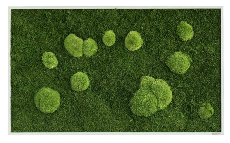 best of GREEN Mossbild 100 x 4 x 60 cm