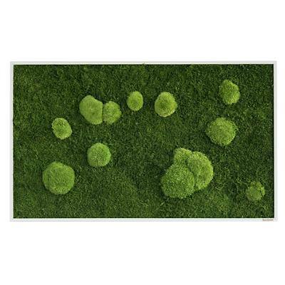 Best of GREEN Moos-Wand 100 x 60 cm schwarzer Rahmen