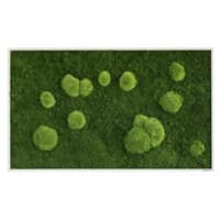 Best of GREEN Moos-Wand 100 x 60 cm schwarzer Rahmen