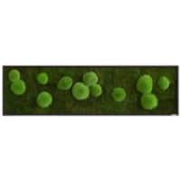 Best of GREEN Moos-Wand 140 x 40 cm schwarzer Rahmen