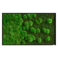 Best of GREEN Moos-Wand 100 x 60 cm weißer Rahmen